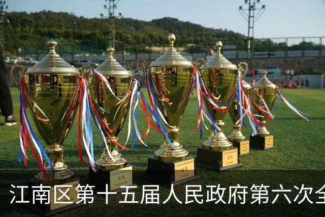 江南区第十五届人民政府第六次全体（扩大）会议召开